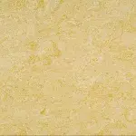 PALE YELLOW - COLOUR SCAN