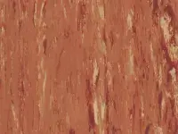 Apricot - scanmobile