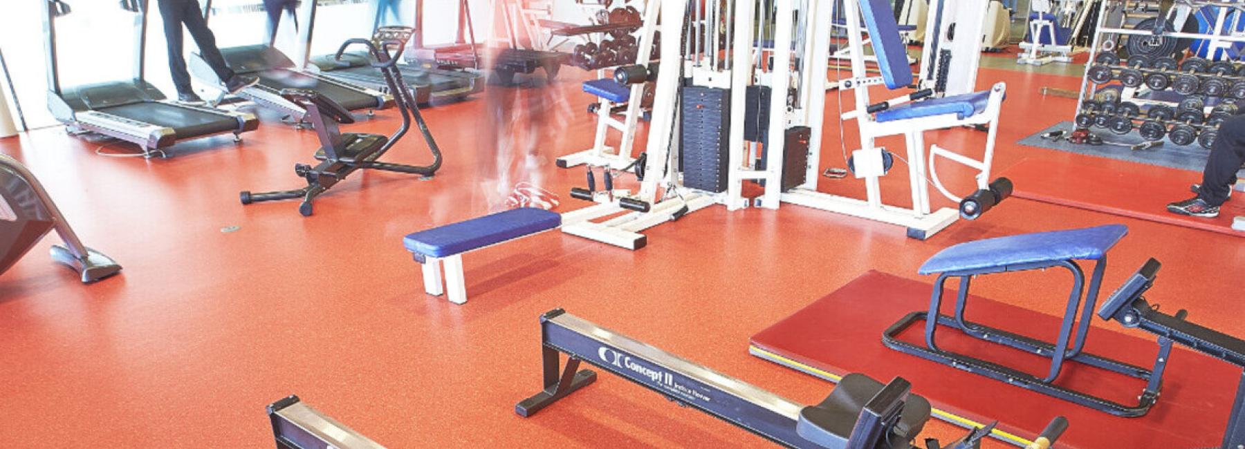 araflex Sport M Evolution & Taraflex Multi Use